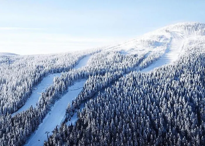 Biala Perla - Czarna Gora Resort, Sun & Snow 3*